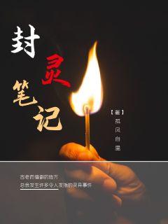 封灵笔记章节列表