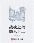 战魂之金麟天下二章节列表