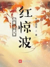 月刀影下红惊波章节列表