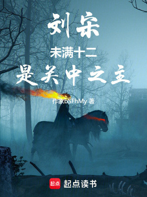 刘宋：未满十二，是关中之主章节列表