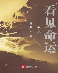我能看见命运章节列表